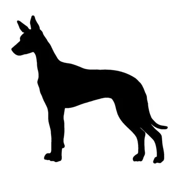 13.5*12.7 CM Pharaoh Hound Dog Vinilo Lipdukas Atspindintis Automobilių Lipdukai Automobilio Stilius Bamperio Apdaila Juoda/Sidabrinė S1-1196