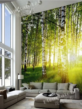 Naujausius 3D freskomis,beržų, miško pievų kraštovaizdis saulės. Gyvenamasis kambarys su sofa-lova, TV wall vaikų, miegamojo tapetai.