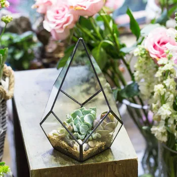 Keturių paviršių Deimantų Meno Succulents Paparčio Samanos, Augalai, Stiklo Taros Bonsai Gėlių Vazonas, skaidraus Stiklo Geometrinis Terariumai Dėžutę