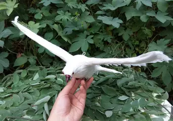 Modeliavimas gyvūnų nekilnojamojo plunksnų sparnus balandžiai skraidantys balandžiai balandžiai kūrybos vieta parodų salė apdailos dekoravimo straipsniai