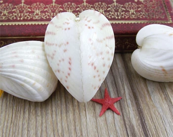 2-4cm Gamtos Meilė Širdies Formos Myli Mėgėjams Sea Shell Valentino Dienos Dovana, Namų Vestuvių Dekoravimo, Dovanų