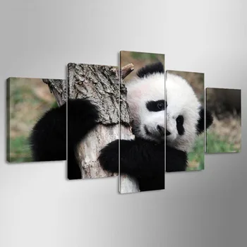 Rėmas Namų Dekoro Gyvenimo Kambario Sienos Nuotraukas, 5 Kolegijos Mielas Gyvūnų Panda Meno Tapybos Modulinės HD Atspausdinta Drobė Anotacija Plakatas