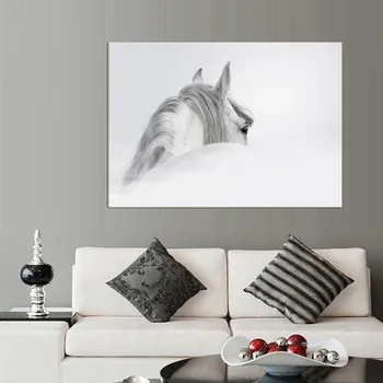 1 skydas Mados Gyvūnai Balto Žirgo Apdaila Sienos Menas Drobė Nuotraukas Paveikslų Kambarį Namų Dekoro