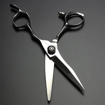 Sharonds 5.5 colių asmenybės, plaukų kirpimo žirklės salonas, skirtas modeliavimo įrankis iš nerūdijančio plieno gluosnio žirklės