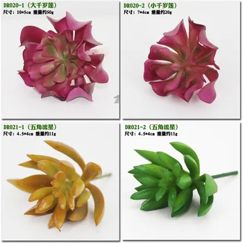 Naujas Atvykti Modeliavimas Succulents dirbtinių gėlių ornamentais mini žalias Dirbtinis Succulents Augalai, sodo puošmena