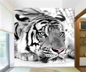 3d foto tapetai tigras juoda ir balta gyvūnų freskomis įėjimo kambarys gyvenamasis kambarys su sofa-lova, TV foną, sienos 3d sienų tapetų