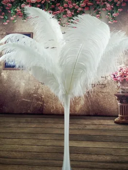 Gražus, 100vnt Kokybės big Ašigalio gamtos balta stručio plunksna 50-55cm /20-22inch vestuvių Karnavalas etapo rezultatus drabužiai