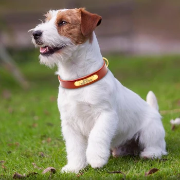 Asmeninį Šunų Antkakliai natūralios Odos Individualų Derliaus Šunų Antkakliai Ilgis Reguliuojamas Graviruoti Vidutinių Didelių Veislių Augintiniai