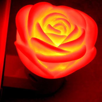 Romantiška Rožė Gėlių/grybų Svajonių Miegamasis Šviesos Nešiojamų Patalpų Namuose, vestuvių Dekoravimas AC 110-250V naktinė lempa festivalio dovana