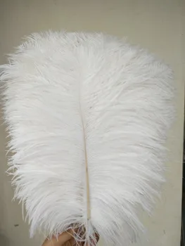 Kinija ZP gamyklos 45 ~ 50 cm (18 ~ 20 cm) ilgio 100 / partijos balta didelius stručio plunksnų vestuvių dekoravimas