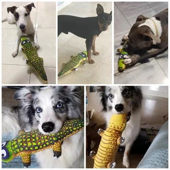 Įvairių Juokingi Kačių žaislas patvarus naminių šunų Įkandimo žaislas šuo, žaislas, skirtas mažų ir didelių šunų, šunų trainging kramtyti žaislus mažylis drobės sque