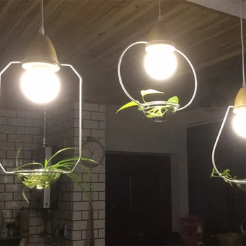 Kūrybos Šiaurės sieniniai šviestuvai augalų su led lemputę ,medienos + geležies E27 lizdas šiuolaikinės pakabukas lempa, virtuvė, balkonas juoda/balta