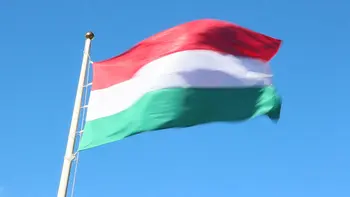 90 x 150cm vengrijos poliesteris šaligatvio Vengrijos vėliavas ir vidaus ir lauko apdailos NN098