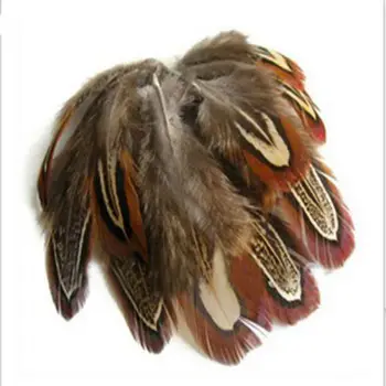 Didmeninė gražus 20pcs aukštos kokybės natūralių fazanų plunksnos, 3-6cm / 1.5-2.5 colių dekoratyvinis 