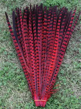 Nemokamas pristatymas! 50pcs18-20 colių / 45-50cm aukštos kokybės raudonos fazanų plunksnos, etape plunksnos apdaila