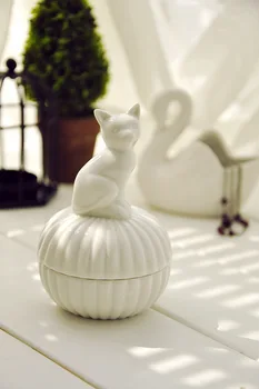 Baltos Keramikos Mielas Mažai Gyvūnų Papuošalų Dėžutė Triušis Kačiukai Paukščių Papuošalai Pakuotės, Dėžutės Saugojimo Bylų talpinimo Mergina Dovana