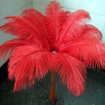 Didmeninės!100vnt 25-30cm/10-12inch raudona stručių plunksnelių plunksnų pigūs plunksnos stručio plunksna vestuvių stalo dekoracija