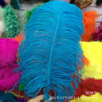 Didmeninės!10vnt Stručio plunksna 55-60cm/22-24inch Ežero mėlyna spalva stručių plumages plunksnelių, vestuvių dekoravimas spektakliai