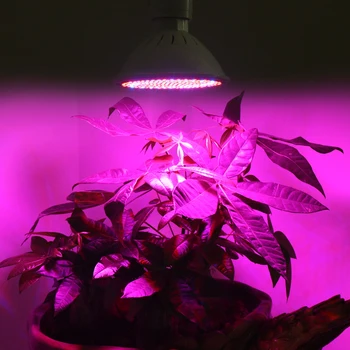 4pcs 20W LED Augalų Auga Šviesos Lempos, E27 AC85-265V SMD3528 Dėl Žydinčių Augalų ir Sodo Šiltnamio efektą sukeliančių Hydroponic Augti Šviesos
