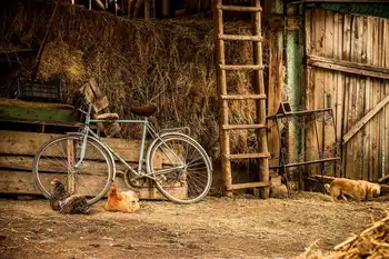 10x10ft Skaitmeninis Fone Vinilo Fotografijos fonas fotostudija dviračių Rekvizitai Naujagimių Backdrops Medžiaga