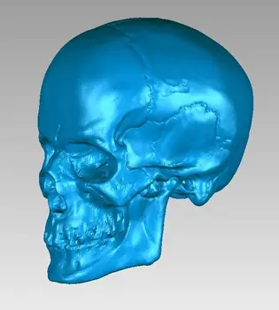 3D modelį cnc 3D raižyti figūra skulptūra mašina STL failo formatas Galvos Kaukolė