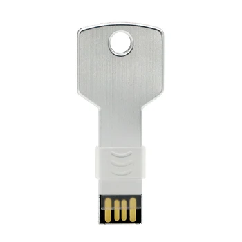 Metalo Raktas 128 GB usb flash drive vandeniui pen drive 8GB 16GB 32GB 64GB pendrive usb 2.0 flash drive, memory stick