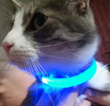 D68 USB Įkrovimo pet šuo, katė žiedo nailono žibintai apykaklės šviesą skleidžiantis LED šviesos naminių šunų antkaklis 2,5 cm pločio